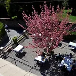 Отель Ristorante La Vignetta