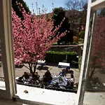 Отель Ristorante La Vignetta 3*