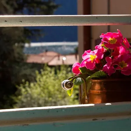 Ristorante La Vignetta