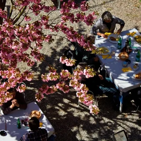 Ristorante La Vignetta فندق تْشيرنوبيو