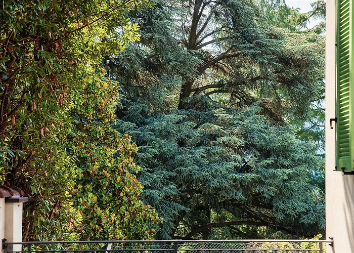 Ristorante La Vignetta מלון