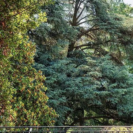 Ristorante La Vignetta Отель