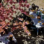 Ristorante La Vignetta Hotel Cernobbio